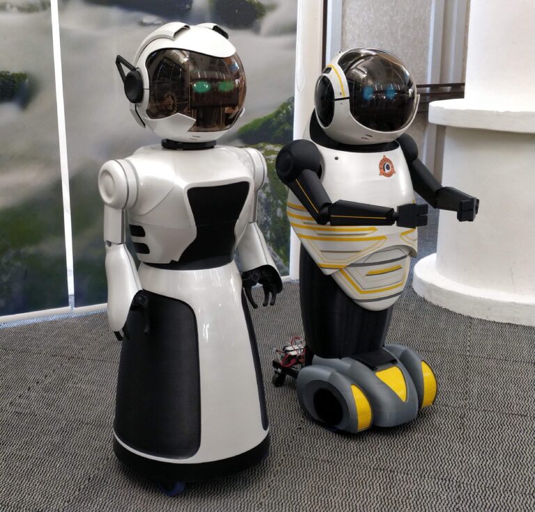 Seeba-Robot Pengiring